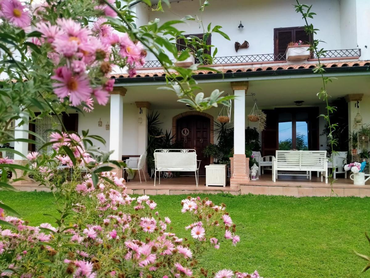 B&B Il Cantico 그레치오 외부 사진
