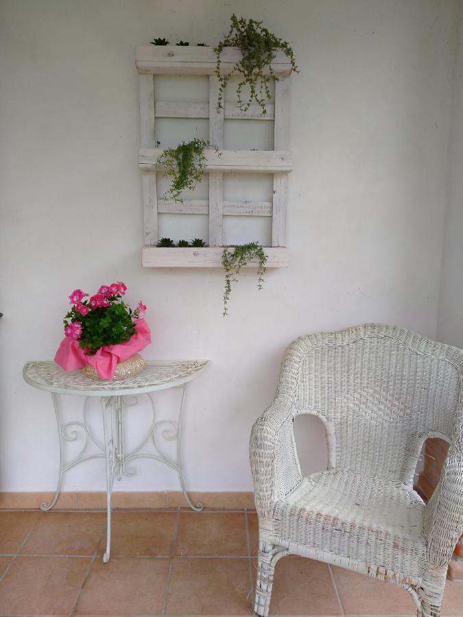 B&B Il Cantico 그레치오 외부 사진