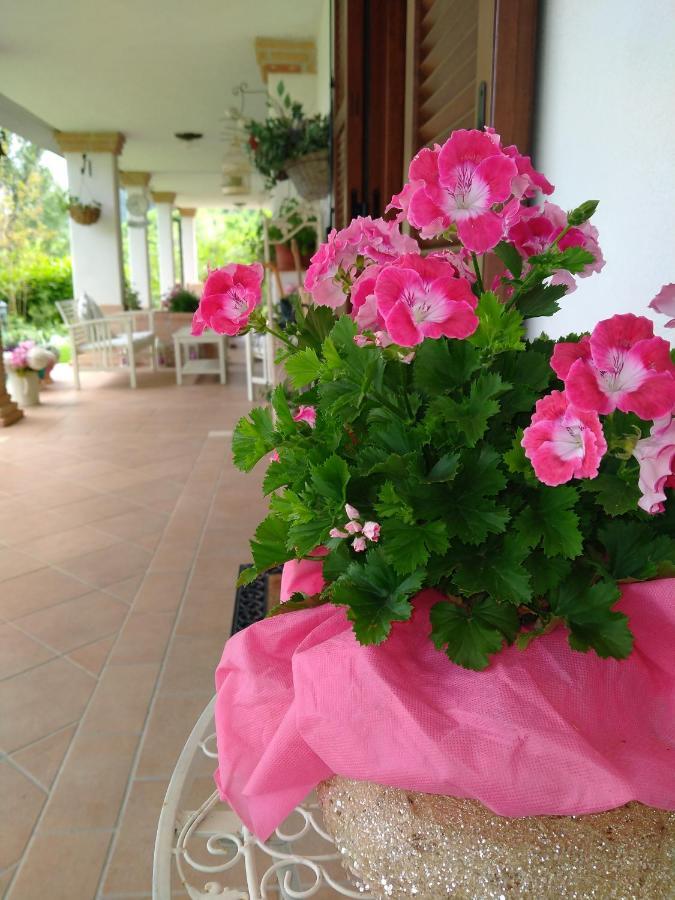 B&B Il Cantico 그레치오 외부 사진