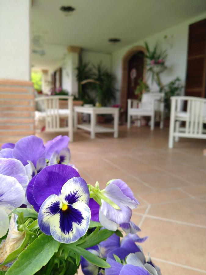 B&B Il Cantico 그레치오 외부 사진